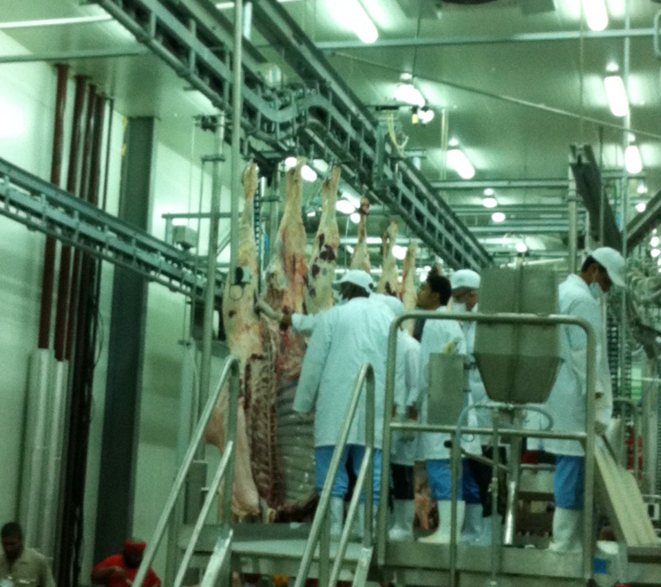 UAE's First Automated Slaughterhouse Project