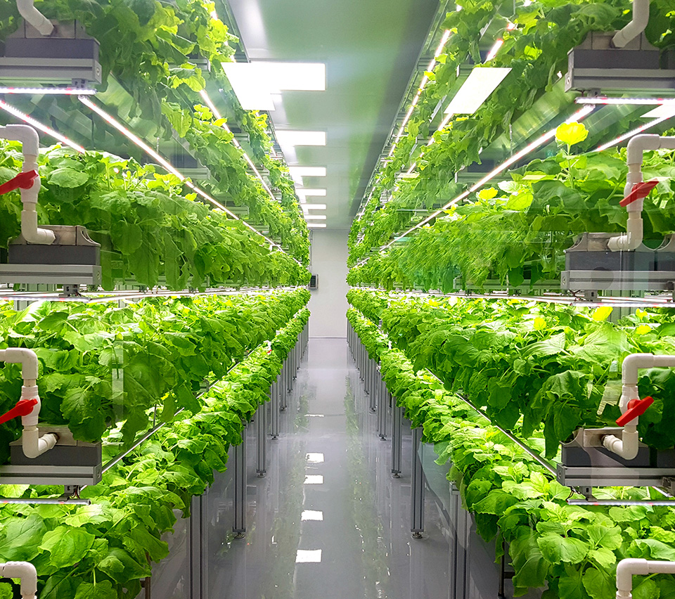 Expansion Into Vertical Farming and New Market Sectors